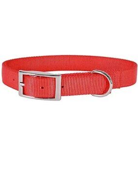 Retriever Dog Collar Red with Metal Buckle Nylon - Large 1”x22”